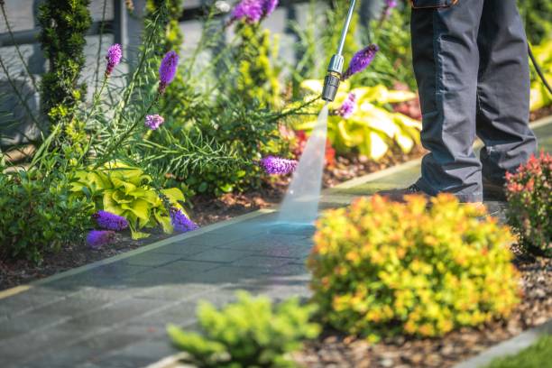 Best Parking Lot and Garage Cleaning  in Keeseville, NY